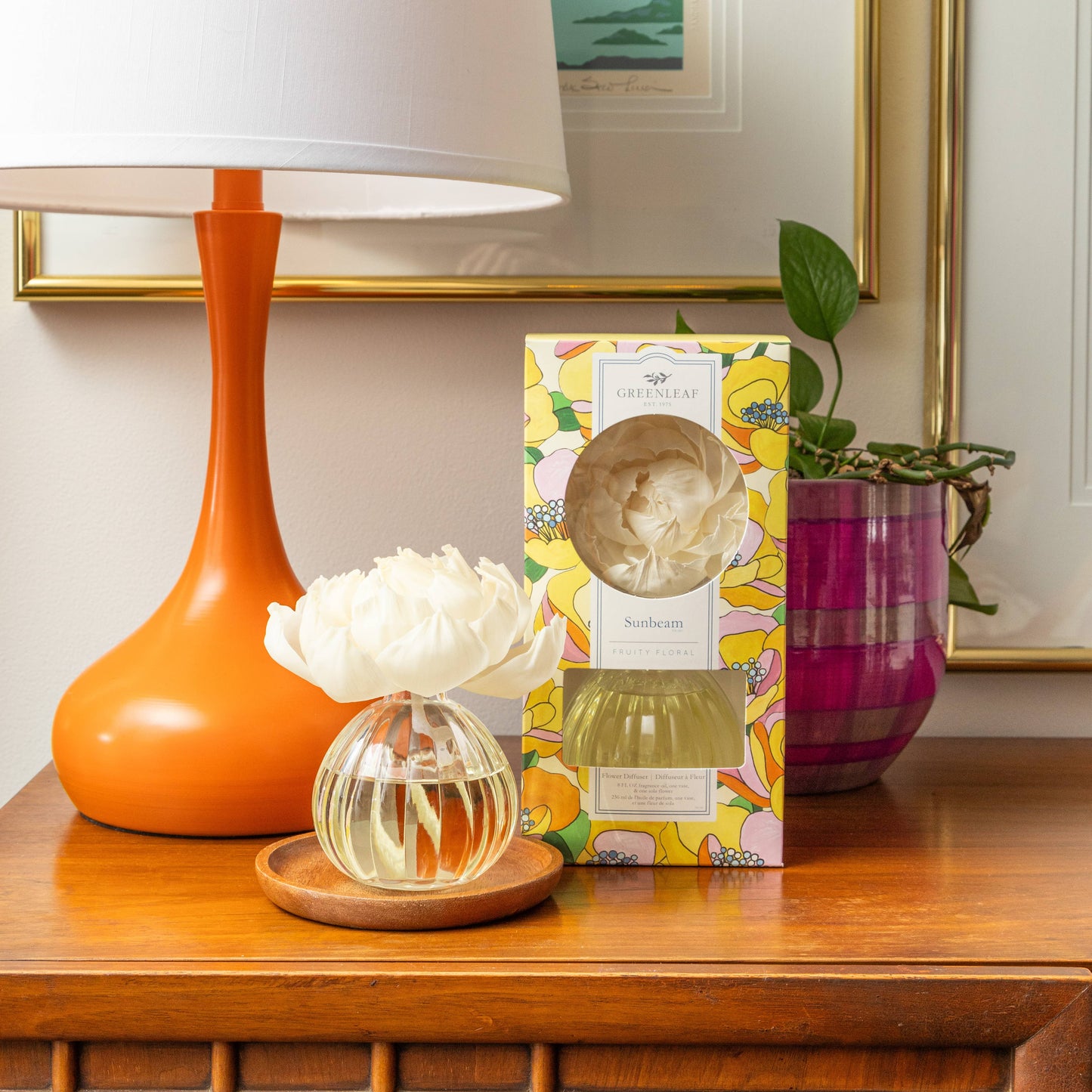 New! Sunbeam Flower Diffuser
