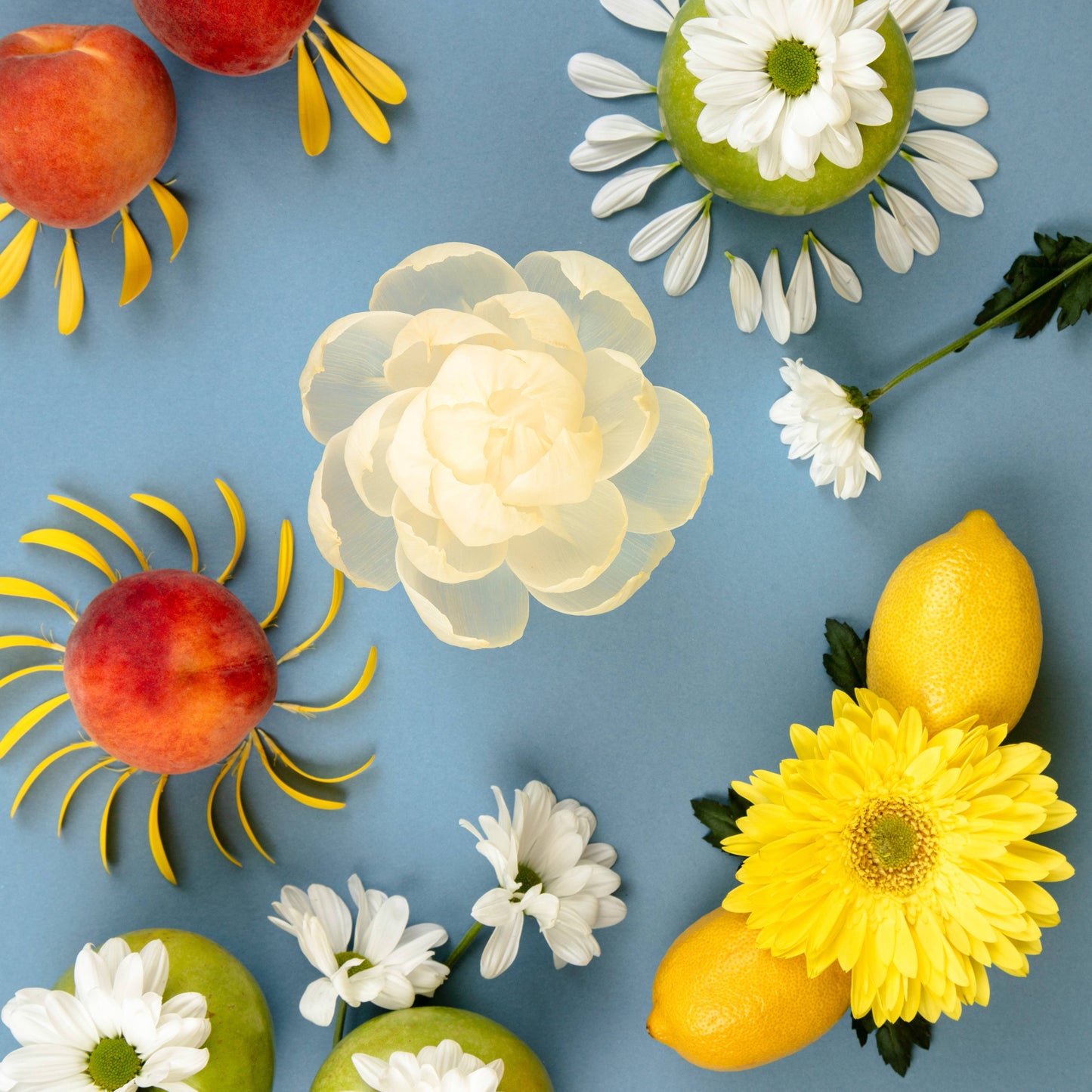 New! Sunbeam Flower Diffuser