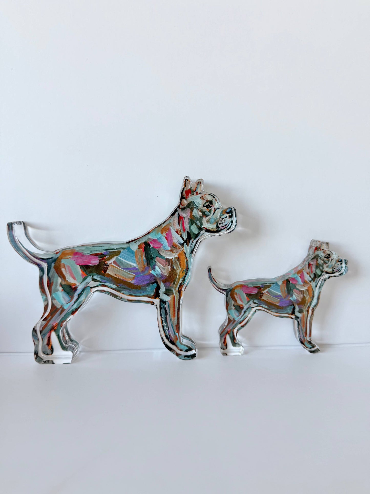 "Pitbull Abstract" acrylic shelfie