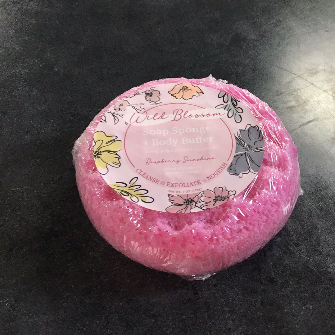 Soap Sponge