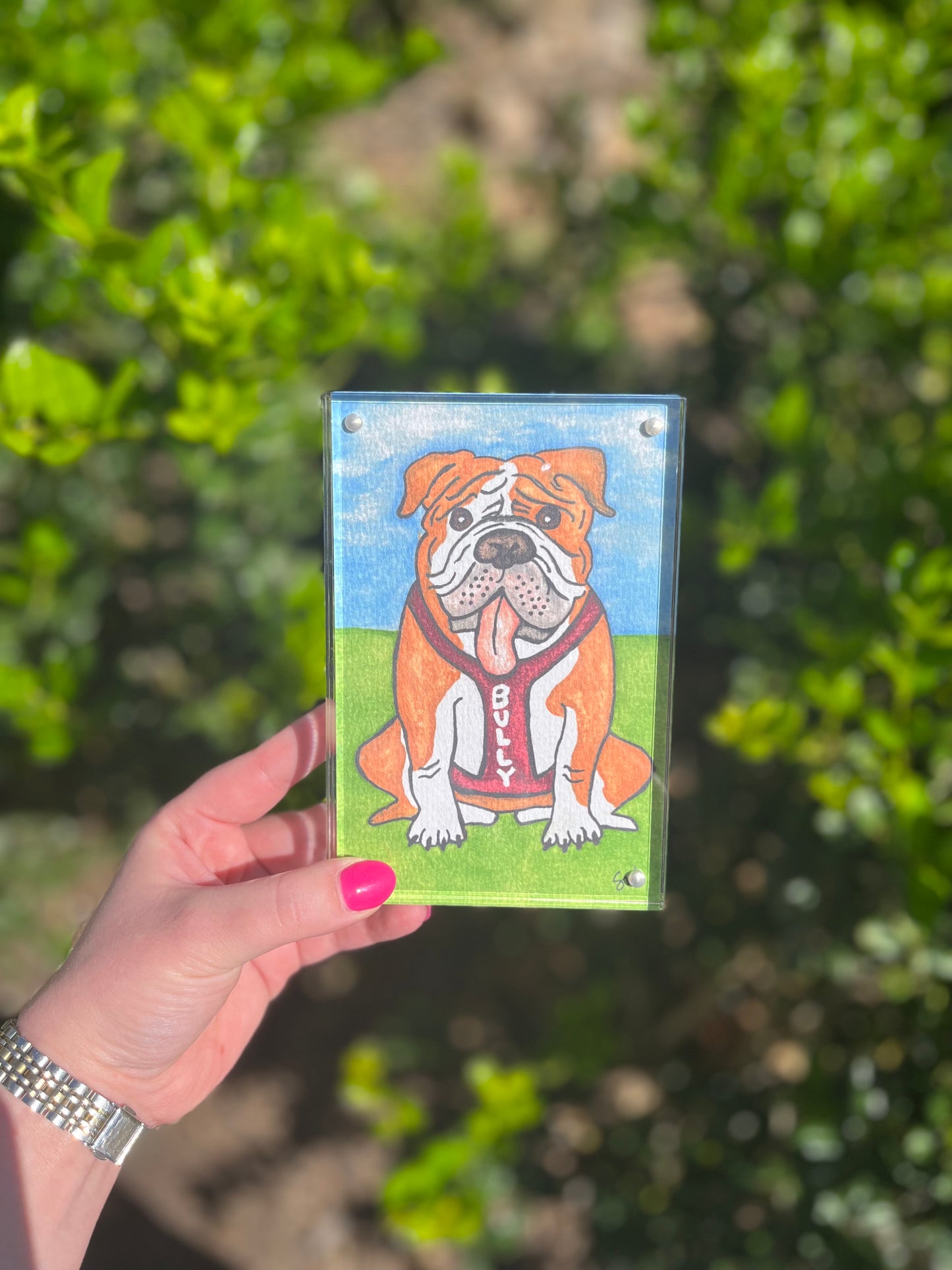 MS State Watercolor Bully in Acrylic Shelf Sitter (4x6)