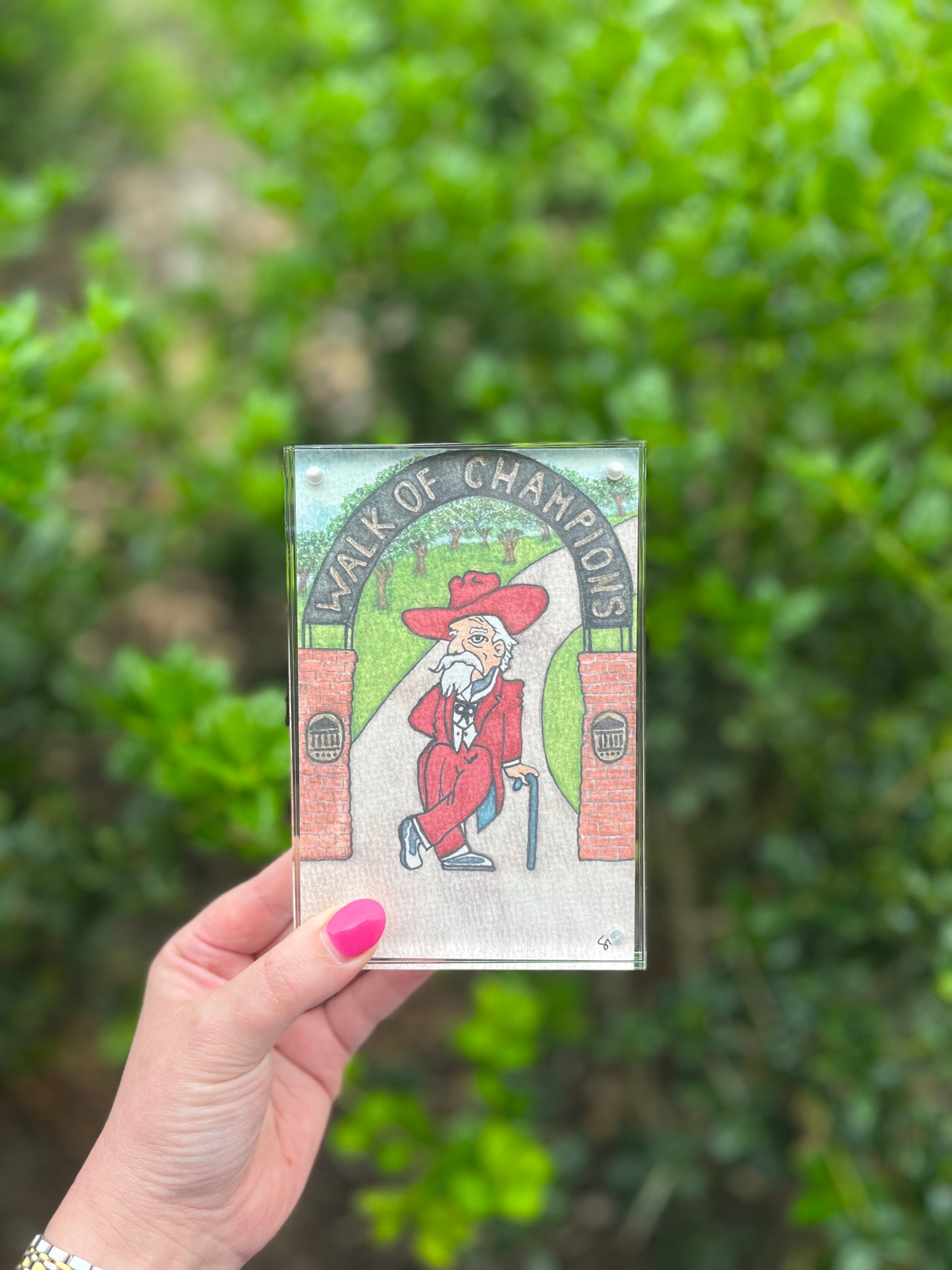 Colonel Reb Acrylic Shelf Sitter (4x6)