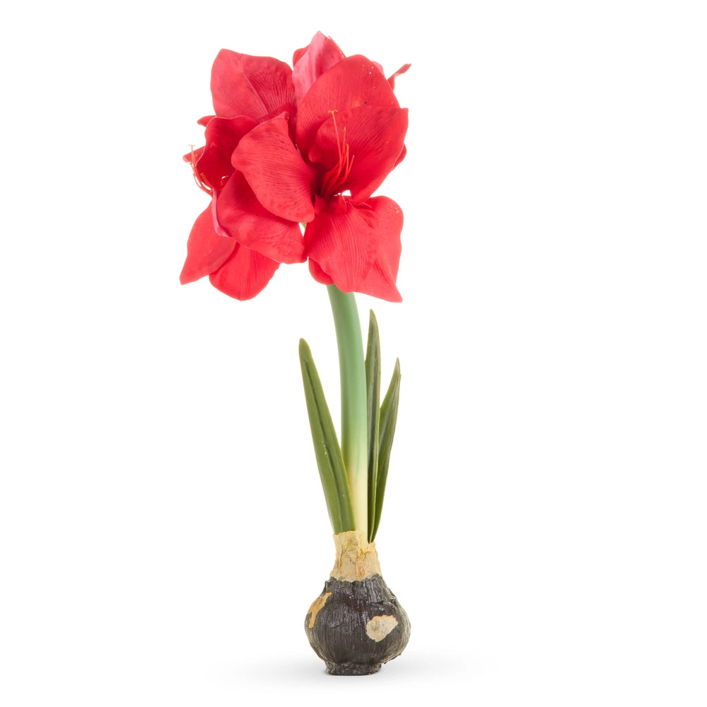 Real Touch Red Amaryllis Bulb