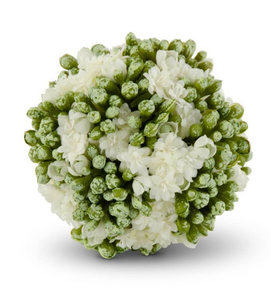 4" White Kalanchoe Ball