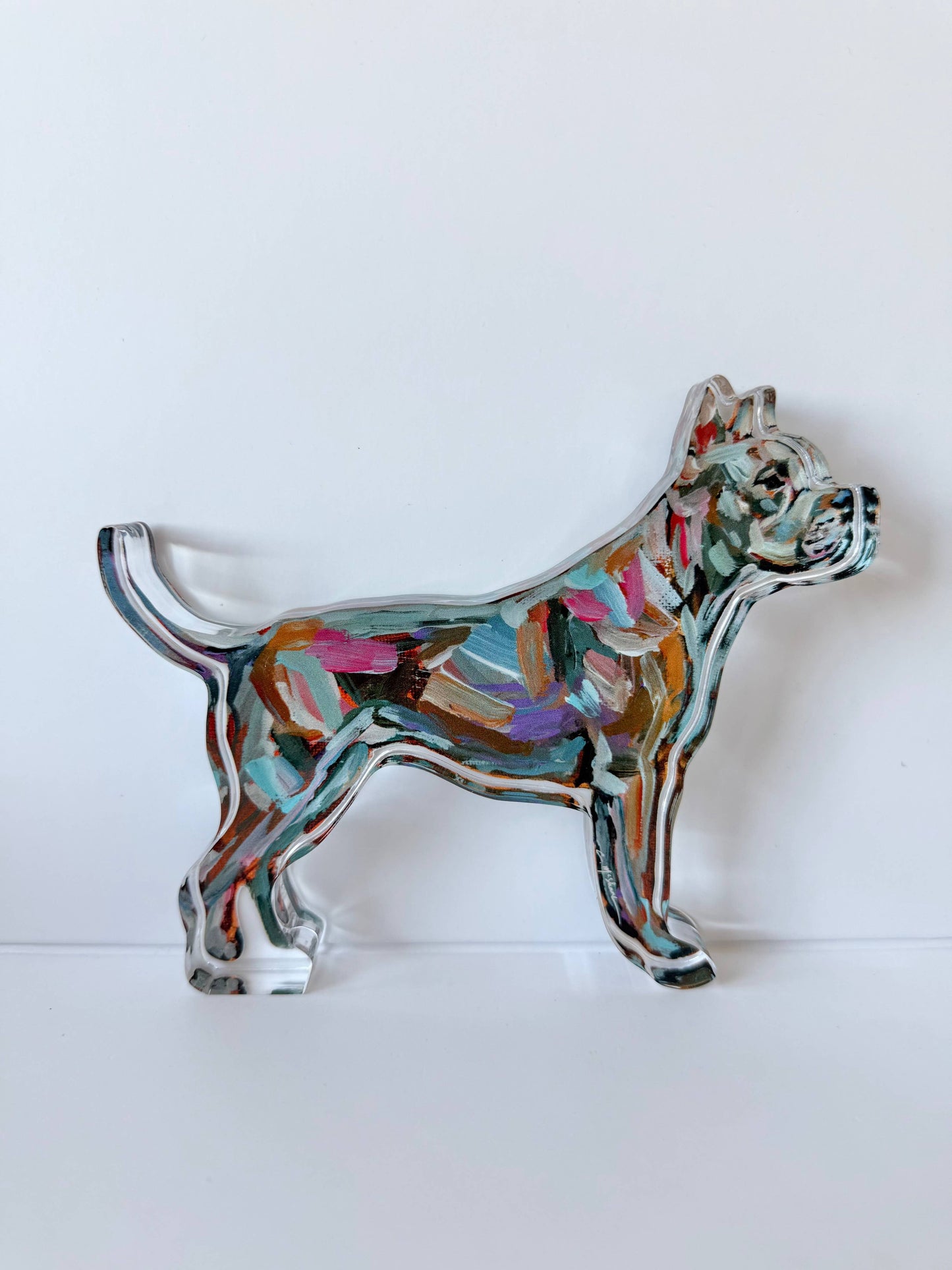 "Pitbull Abstract" acrylic shelfie