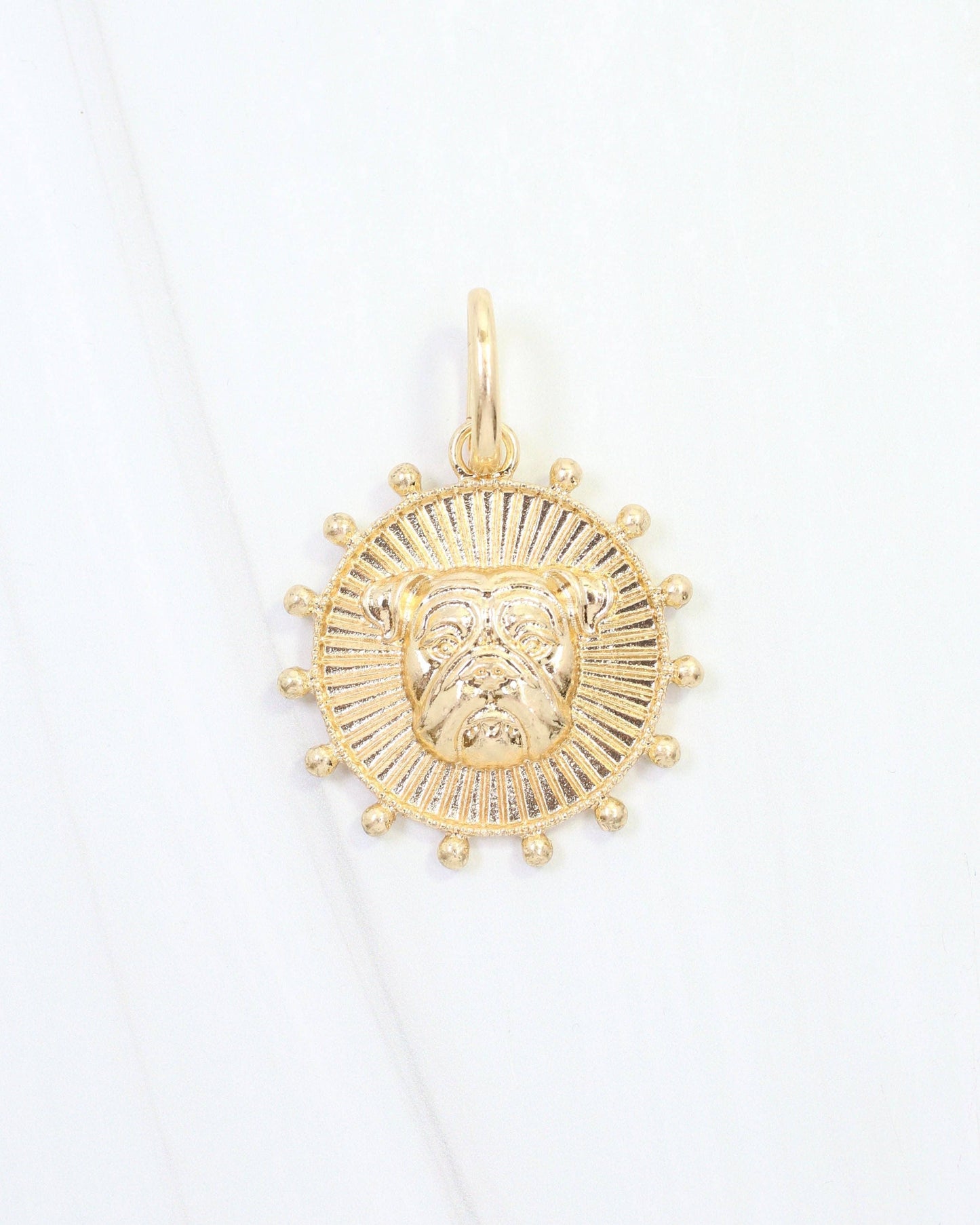 Carmen Coin Charm Dog Worn Gold