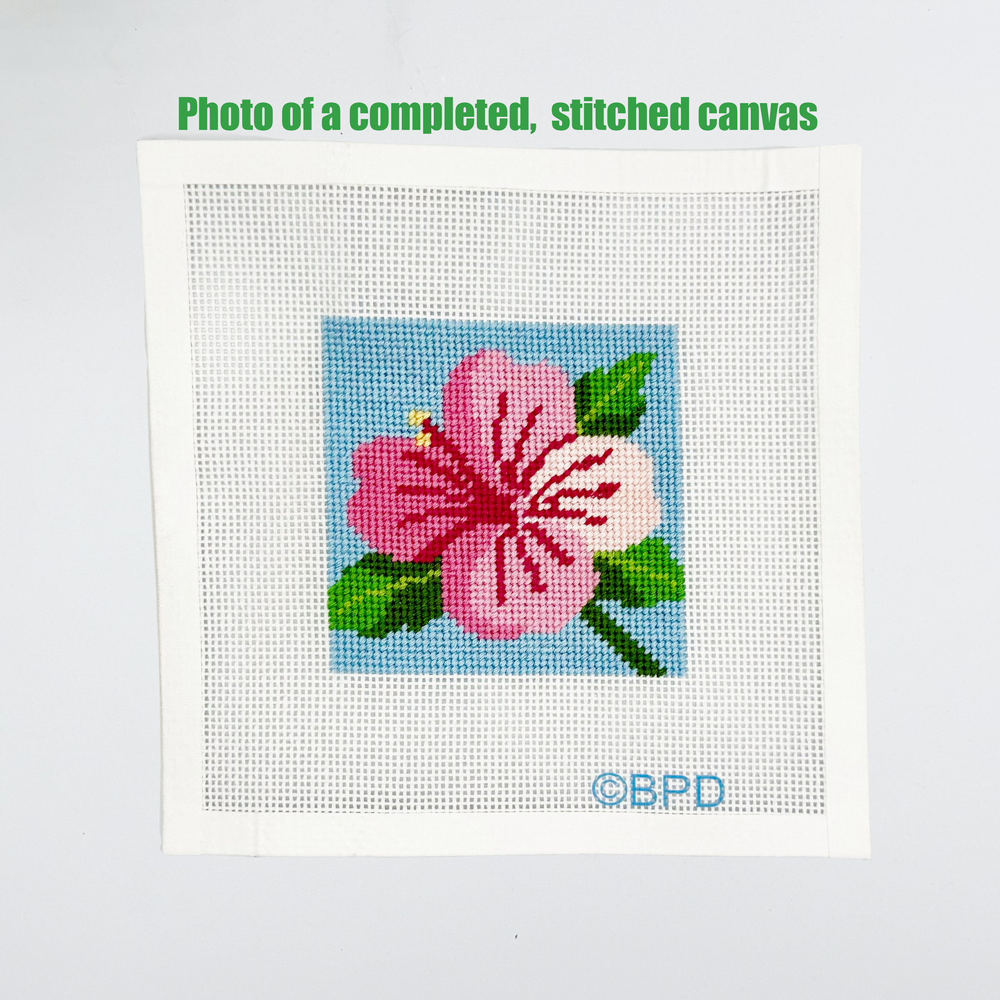 Hibiscus Flower Needlepoint Kit