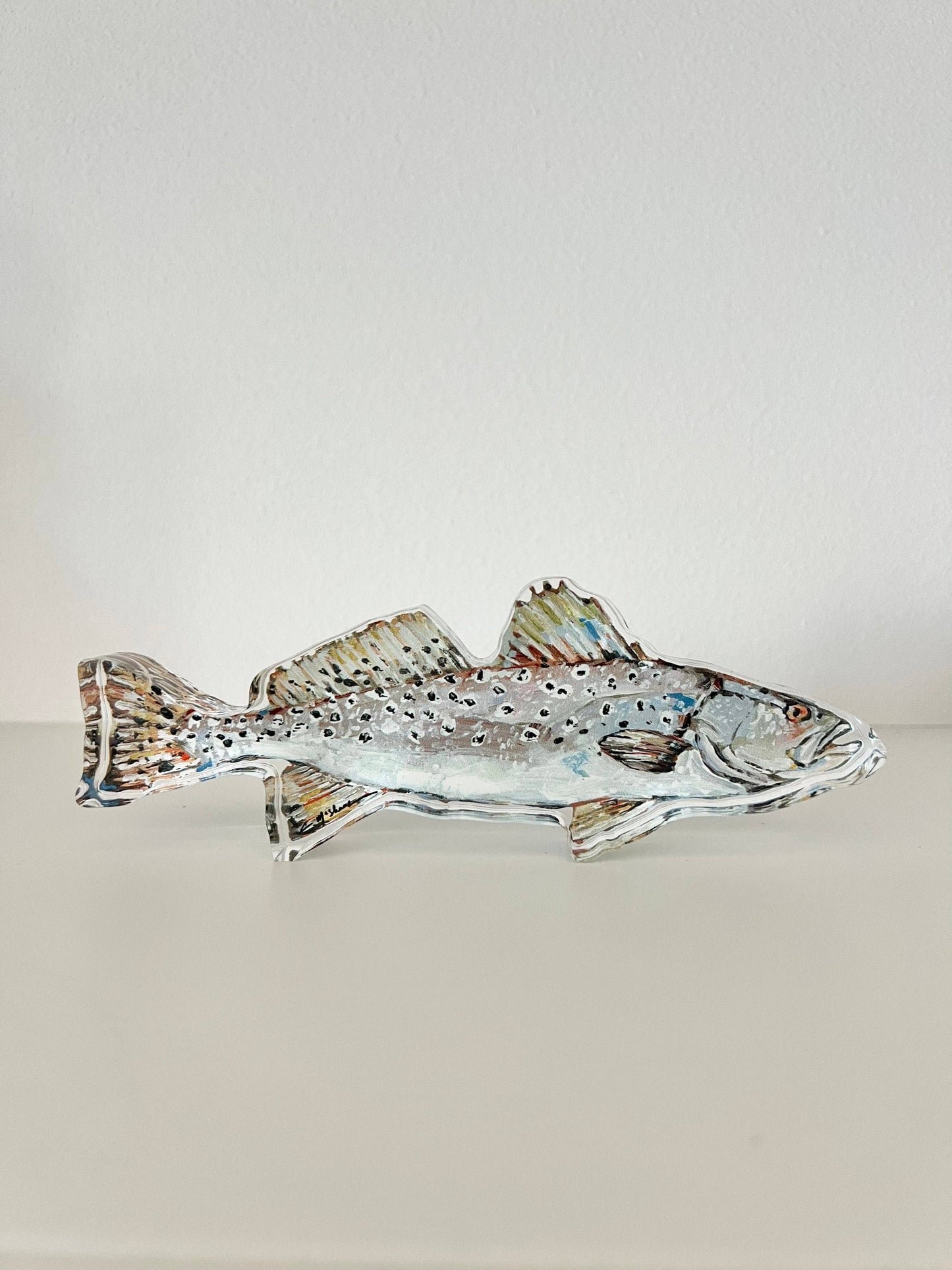 "Speckled Sea Trout" Acrylic Shelfie