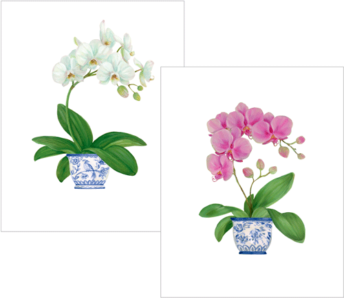 Potted Orchids Boxed Note Cards - 10 Cards and Envelopes