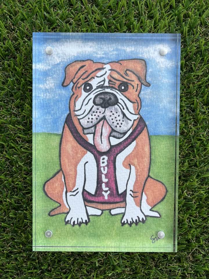 MS State Watercolor Bully in Acrylic Shelf Sitter (4x6)
