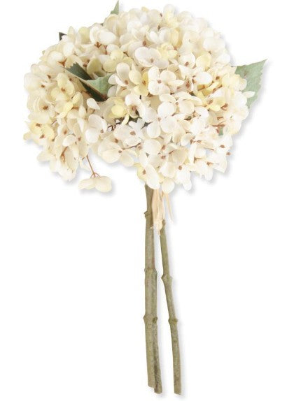 Cream Two-Tone Hydrangea Bundle (3 Stems) 13"