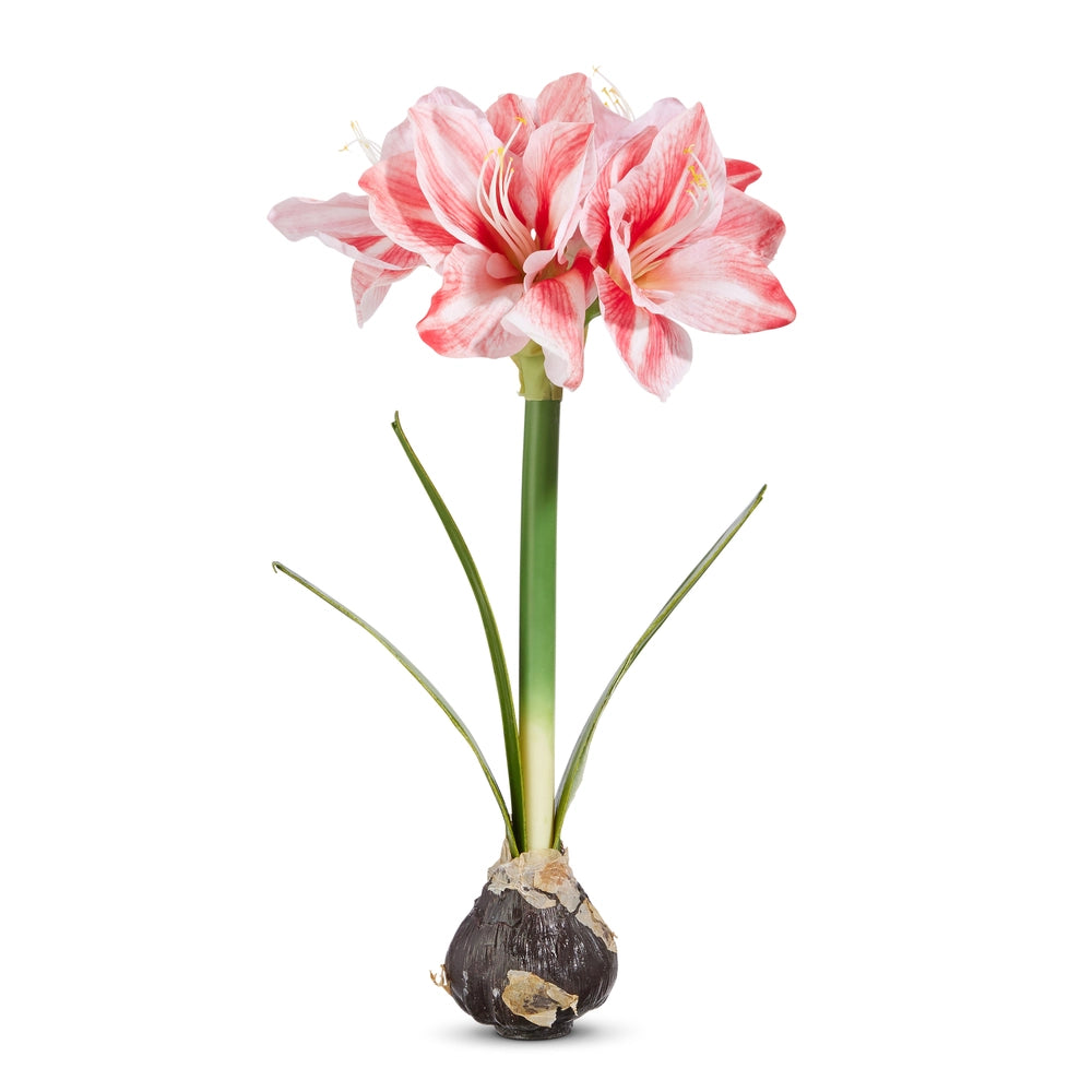 Real Touch Amaryllis Bulbs 19" ( Pink or White )