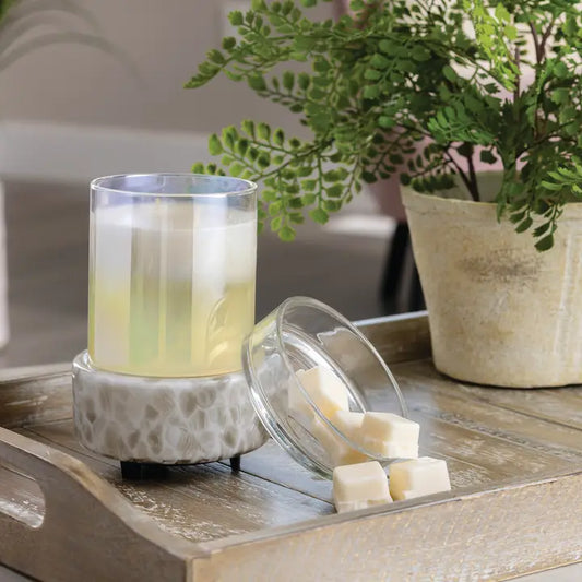 2-in-1 Classic Warmers
