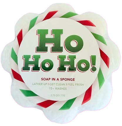 HOHOHO Soap in a Sponge