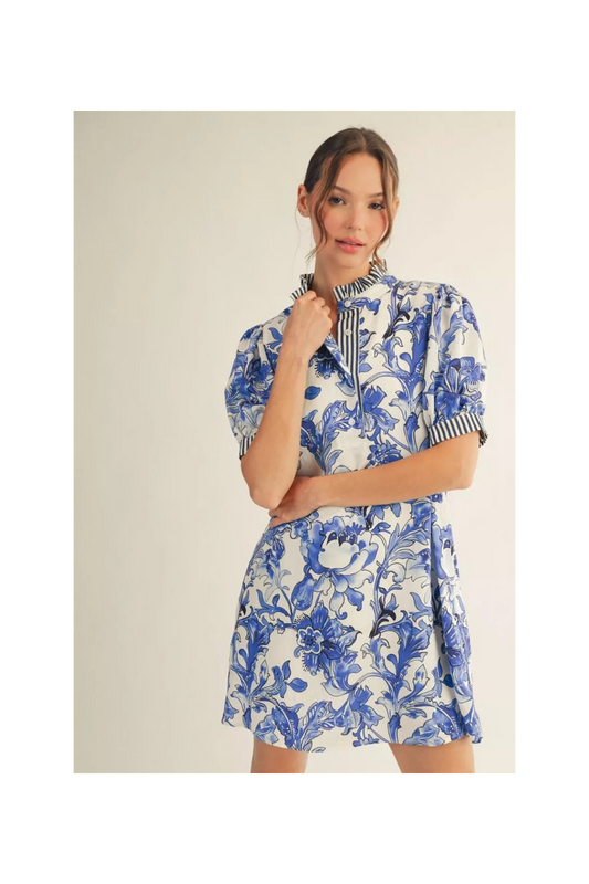 Blue/White Botanical Shirt Dress with Stripe Contrast (S-L)