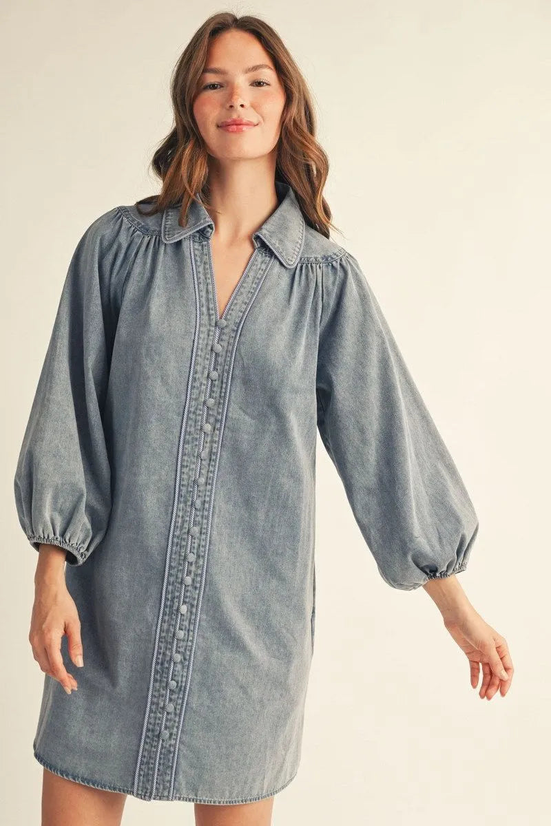 The Daisy Denim Fall Dress