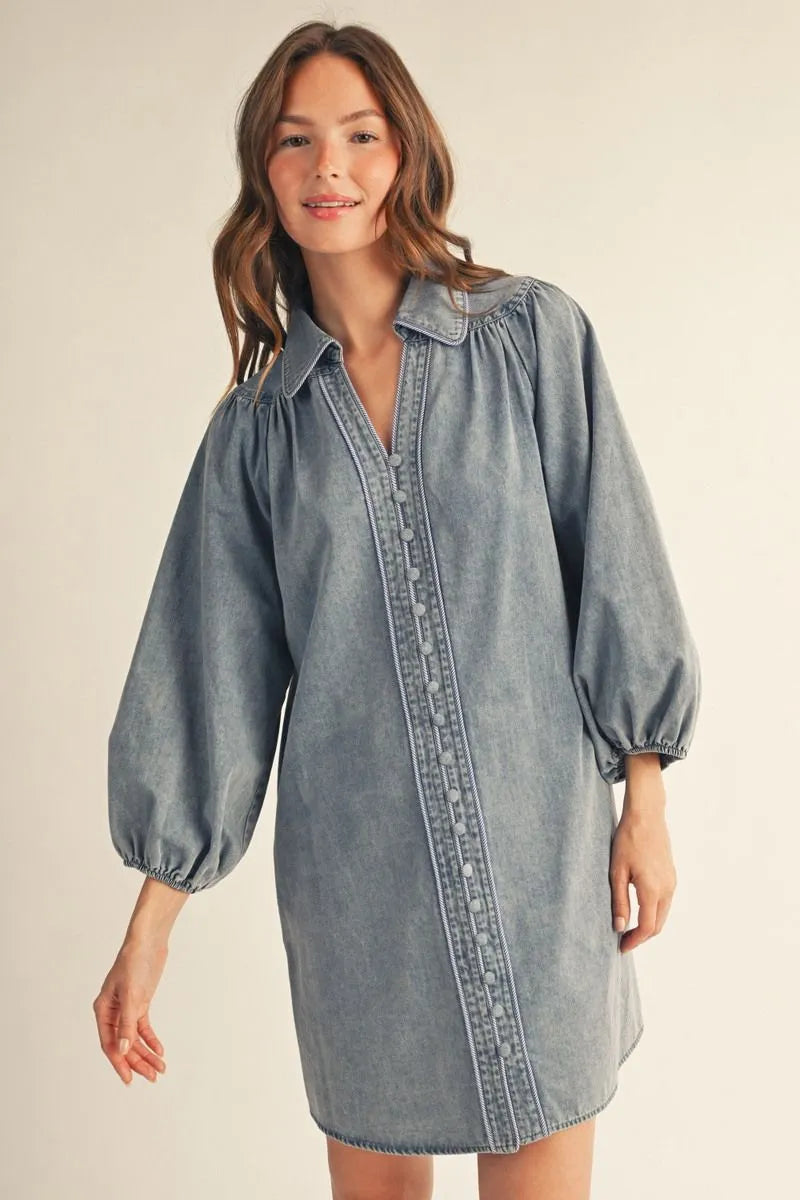 The Daisy Denim Fall Dress
