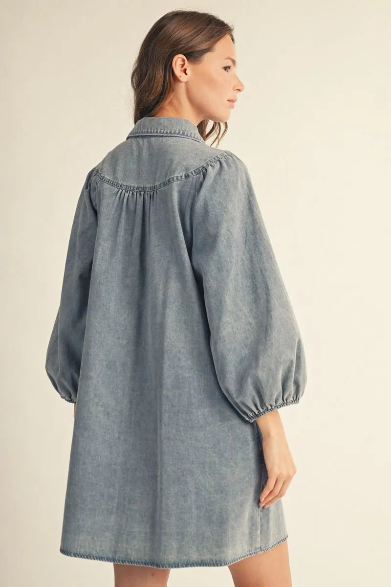 The Daisy Denim Fall Dress