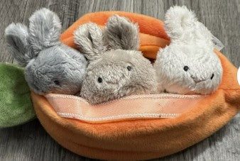Baby Ganz Learn and Grow carrot with bunnies