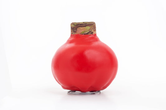 Double Red Amaryllis Flower Bulb Red Wax Coating