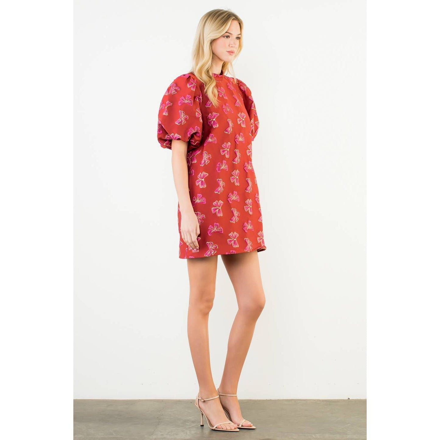Puff Sleeve Embroidered Bows Dress (XS-L)